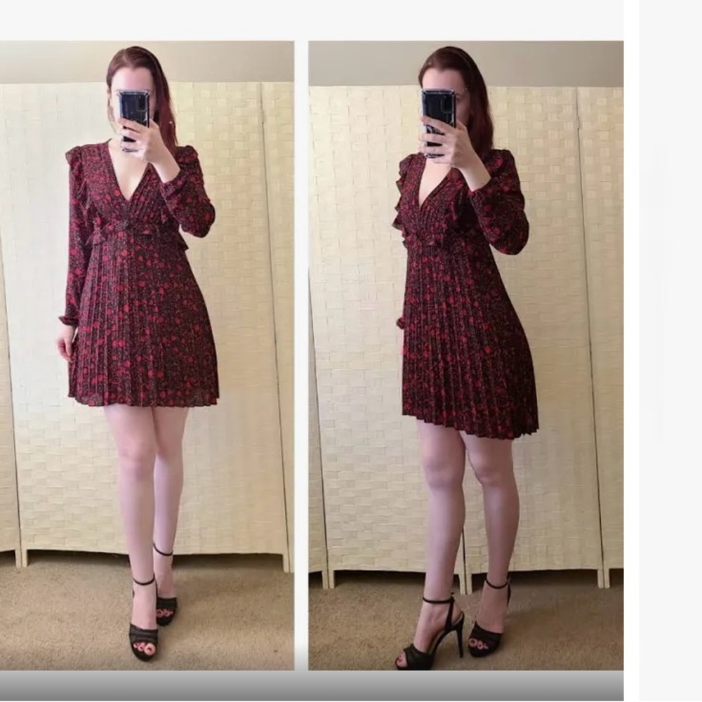 EXPRESS Black Red Roses Flower Print Long Sleeve Pleated Fit & Flare Dress